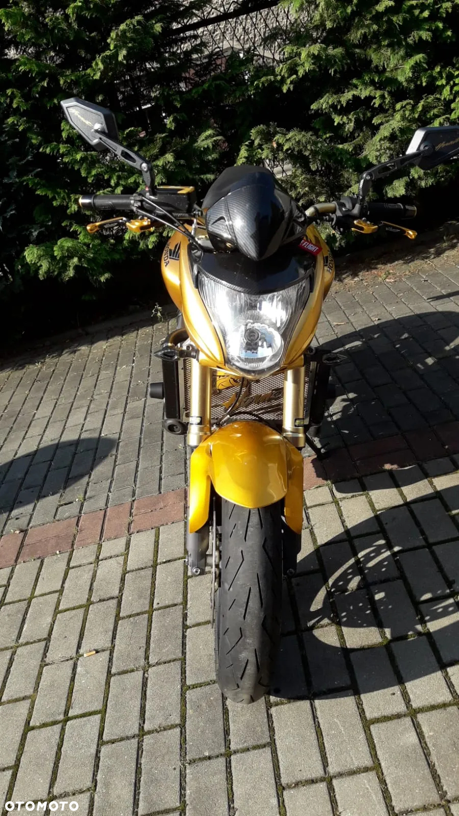Honda Hornet - 8