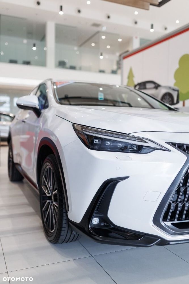 Lexus NX - 11