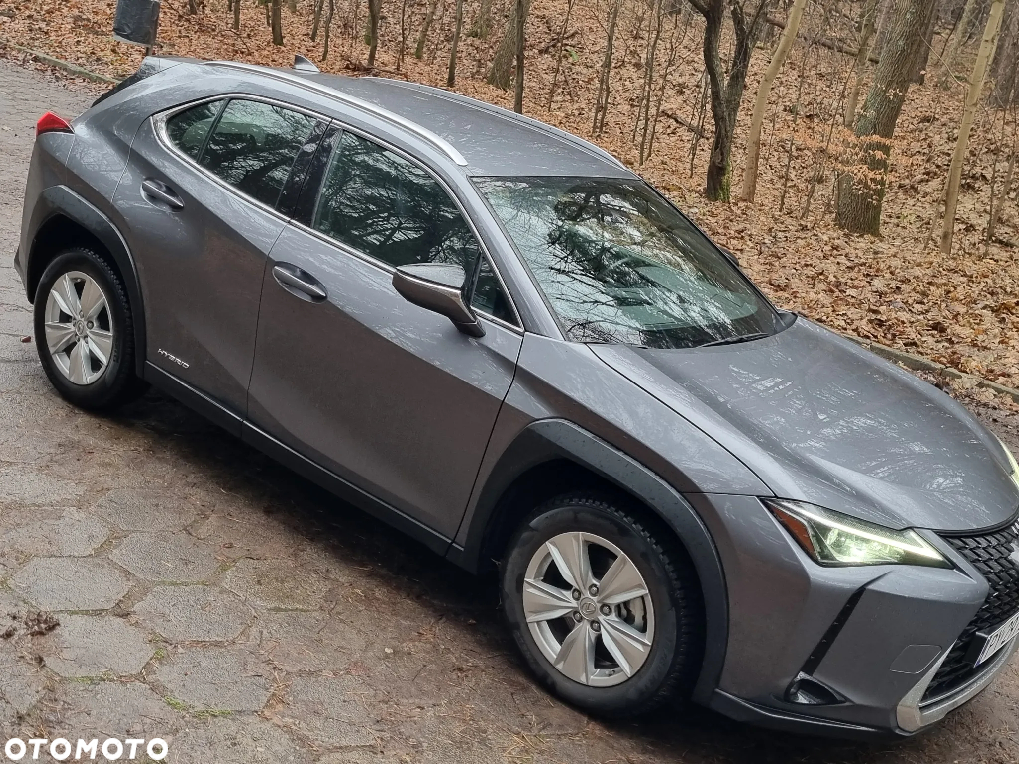 Lexus UX - 14
