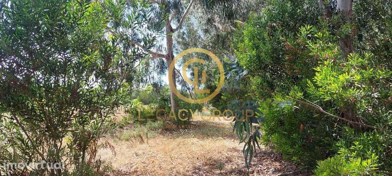 Terreno em Rogil, Aljezur, Algarve - Grande imagem: 3/19