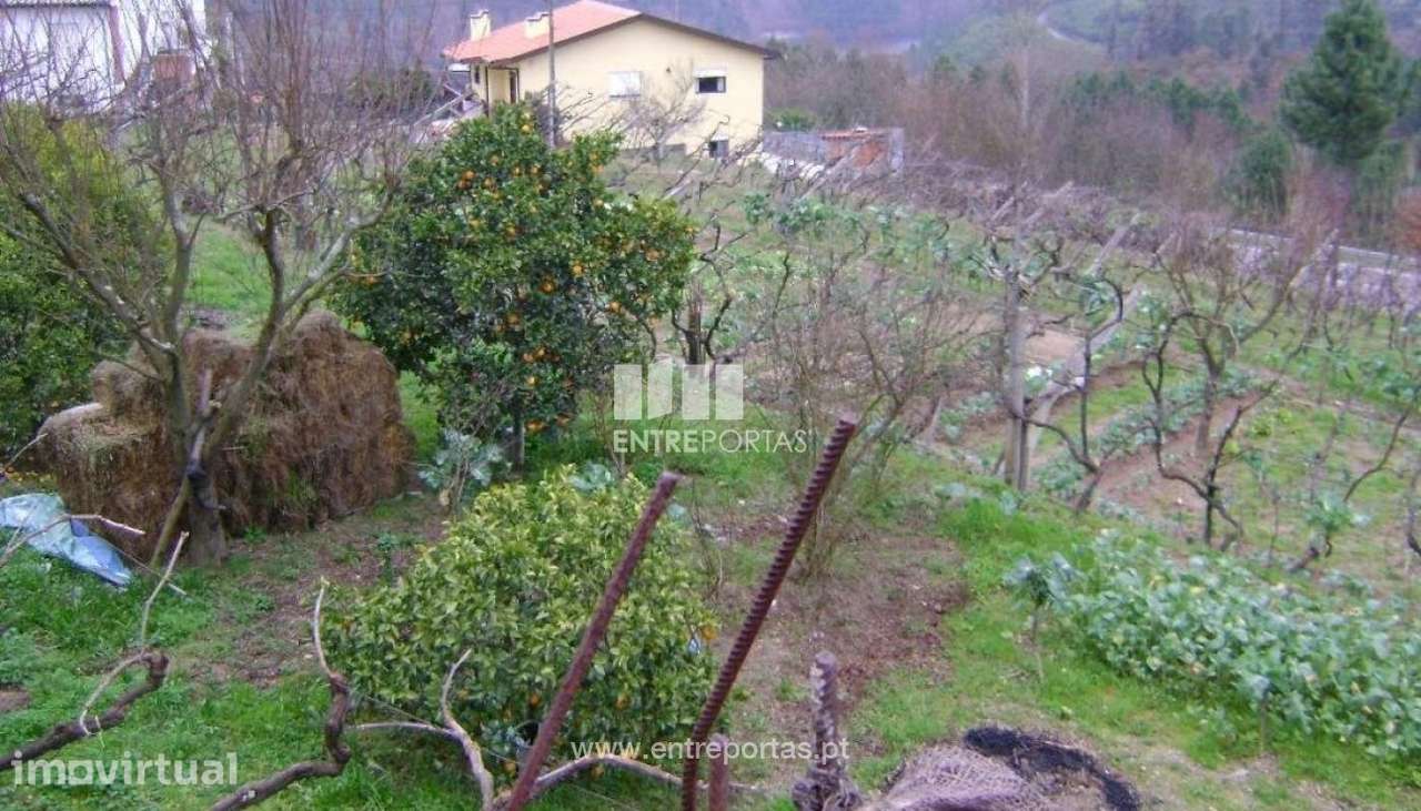 Venda Terreno, Fornos, Marco de Canaveses - Grande imagem: 2/7