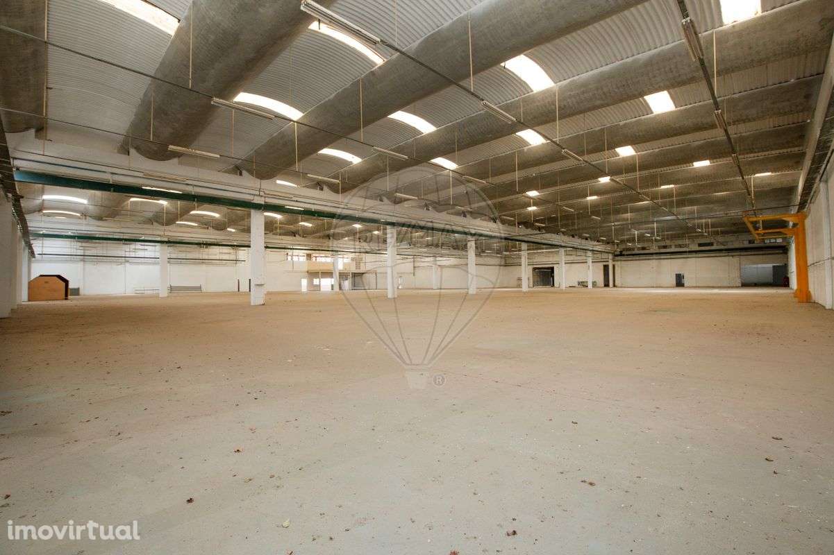 Armazém T0 para venda - Grande imagem: 3/11