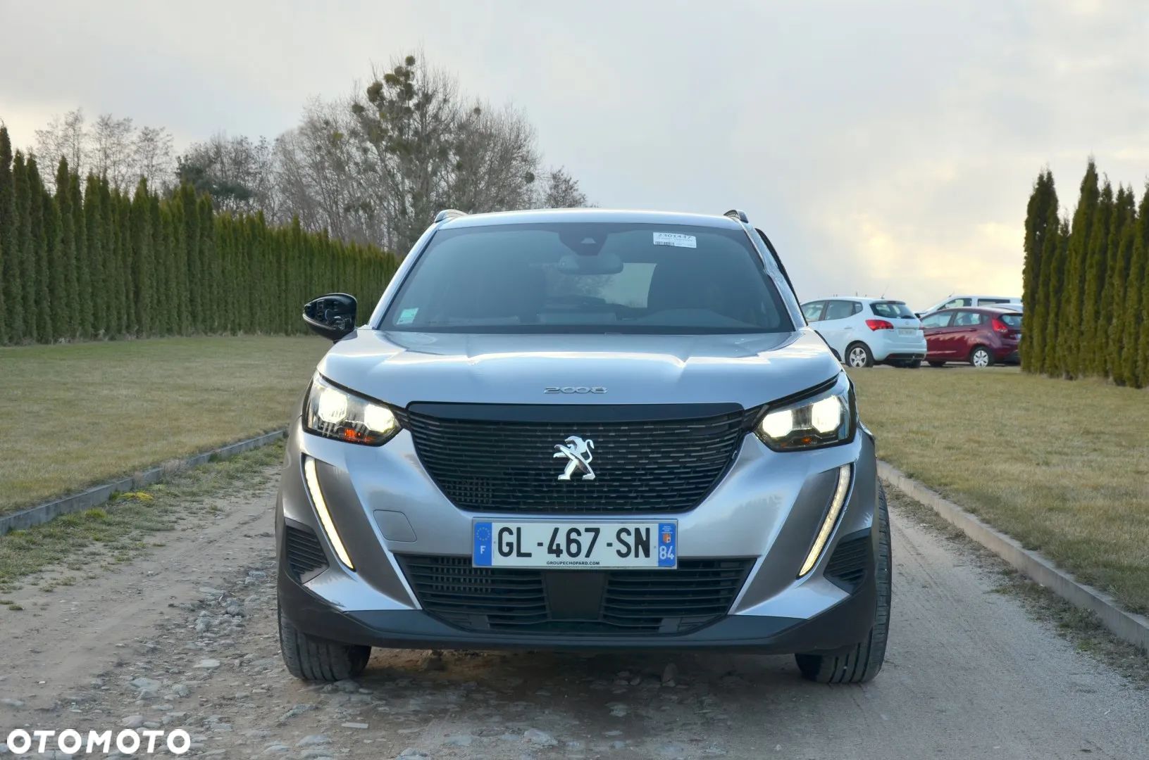 Peugeot 2008 - 1
