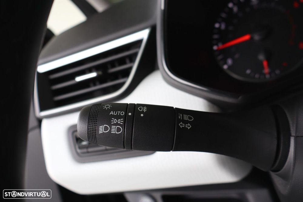 Renault Clio - 17