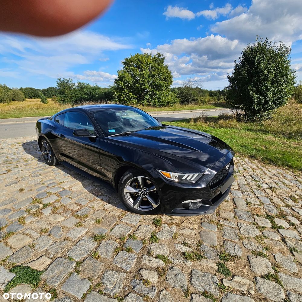 Ford Mustang - 1
