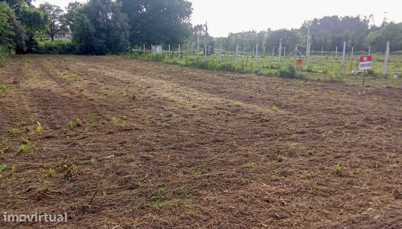 Venda de Terreno agrícola, Tregosa, Barcelos - Grande imagem: 4/18