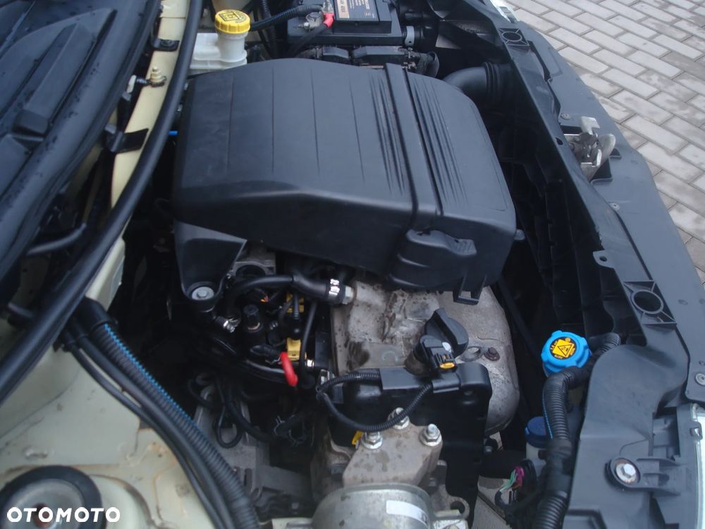 Fiat Panda 1.2 Alessi - 20