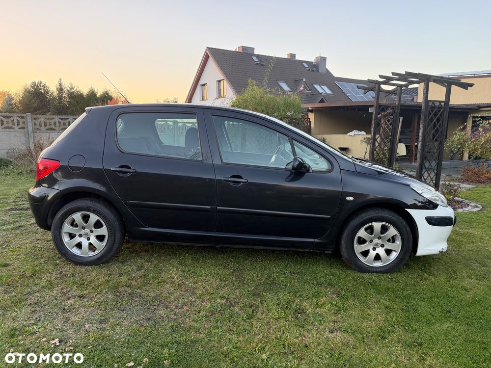 Peugeot 307 1.6 - 10