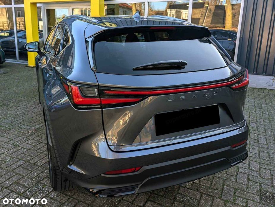 Lexus NX - 6