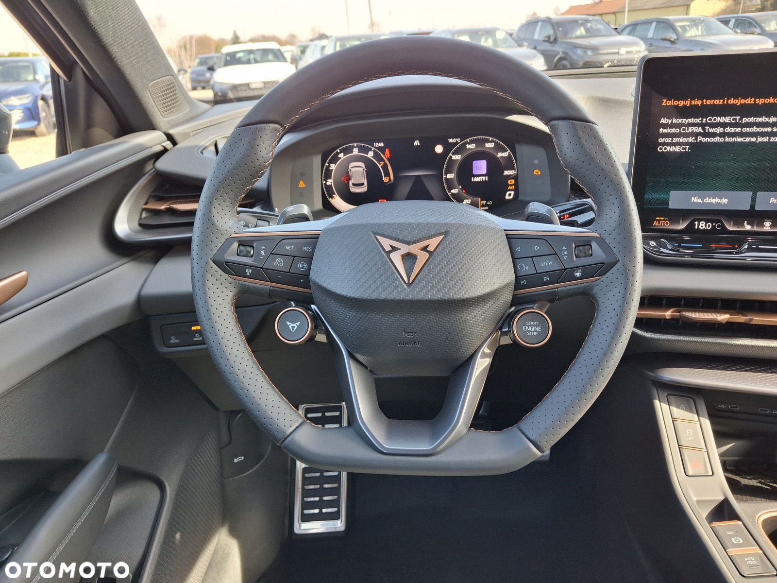 Cupra Terramar - 14