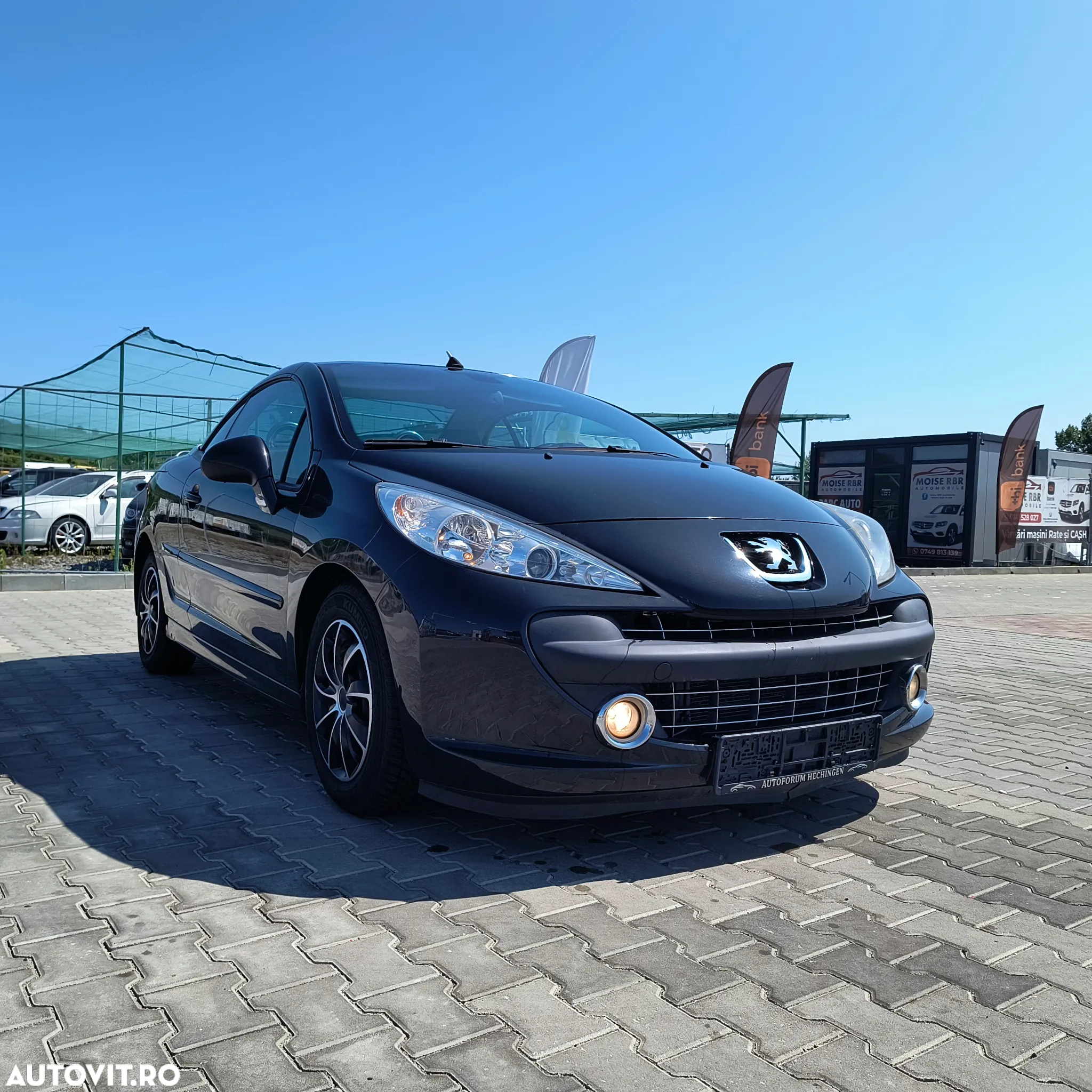 Peugeot 207 CC FAP 110 (Blue Lion) Roland Garros - 12
