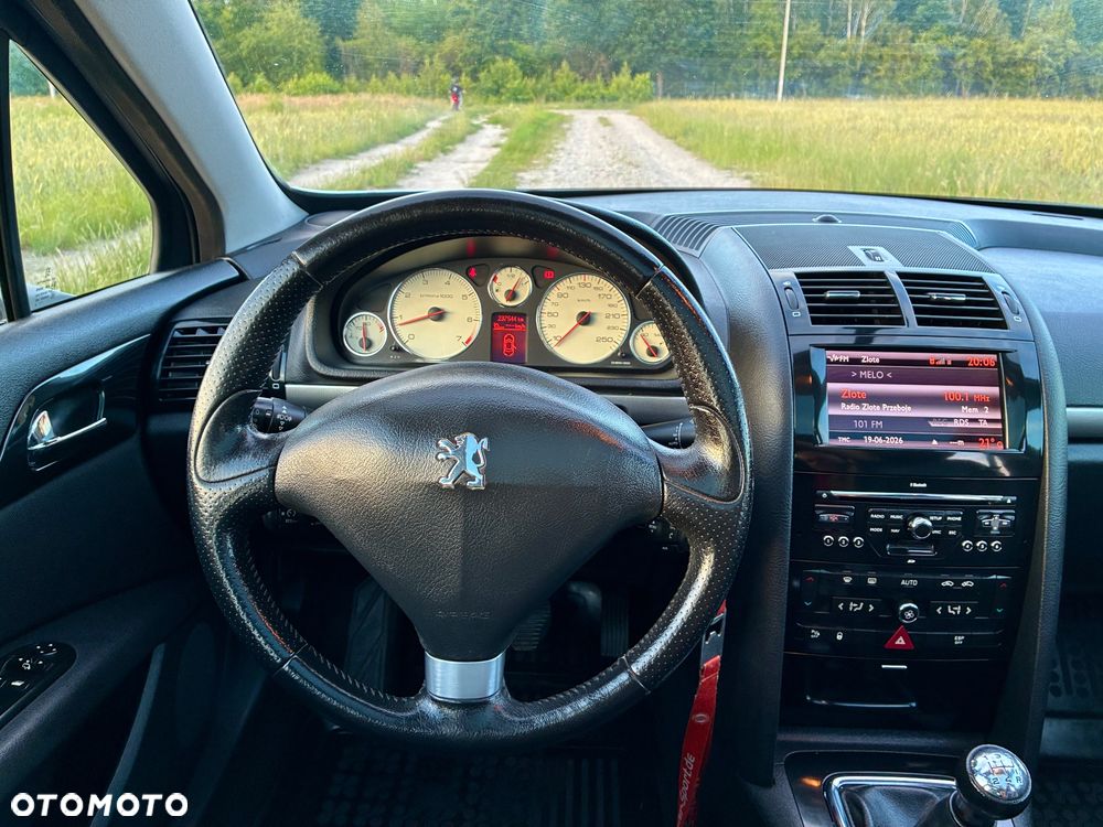 Peugeot 407 - 30
