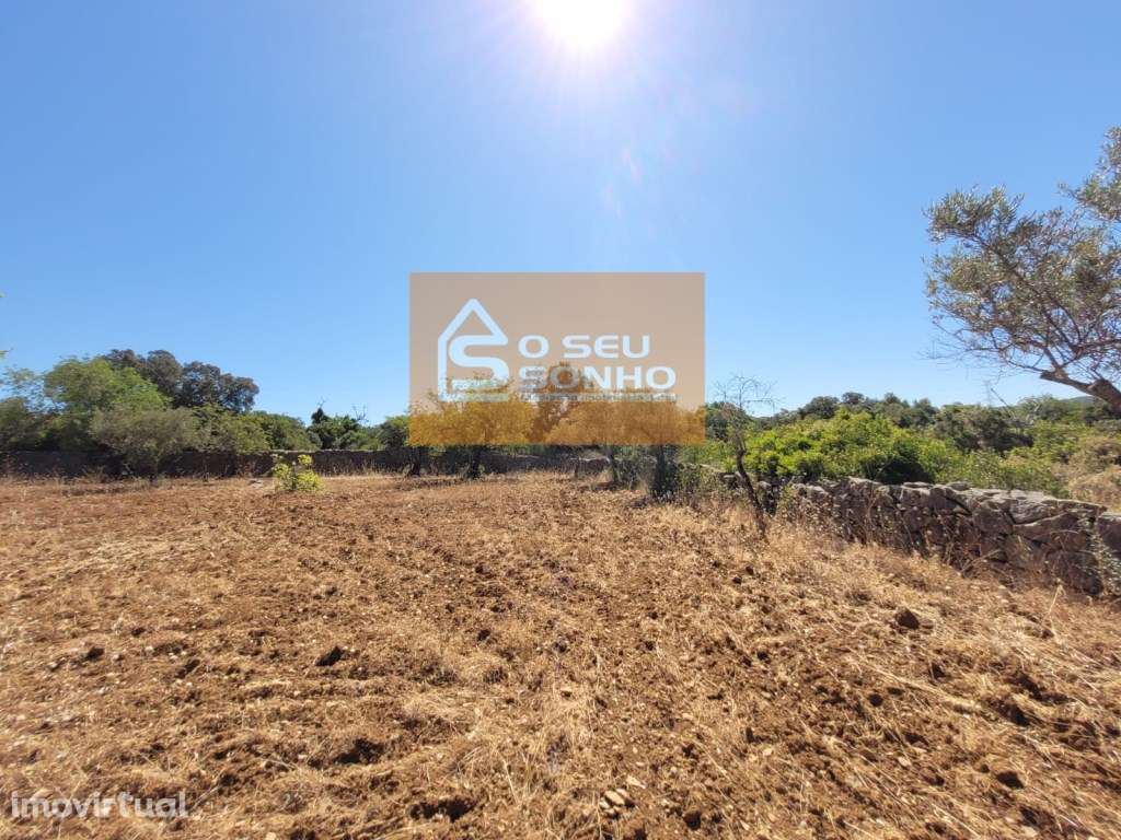 Terreno Rústico plano com acesso pedonal - 4.910 M² - Grande imagem: 3/12