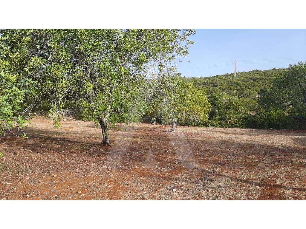 Lote de terreno para construção, com vista sobre a serra, em São Br... - Grande imagem: 4/9