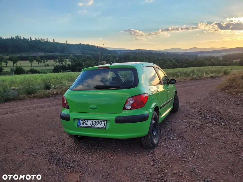 Peugeot 307 - 4