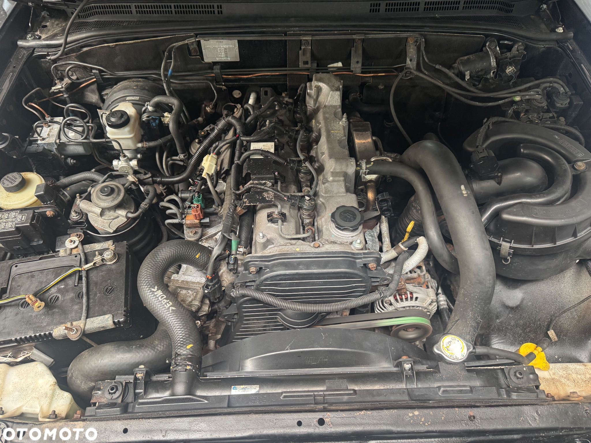 Ford Ranger Pick-Up 4x4 XLT Limited - 23
