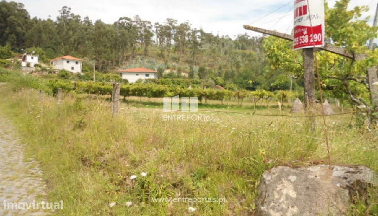 Venda Terreno, Sande, Marco de Canaveses - Grande imagem: 2/17
