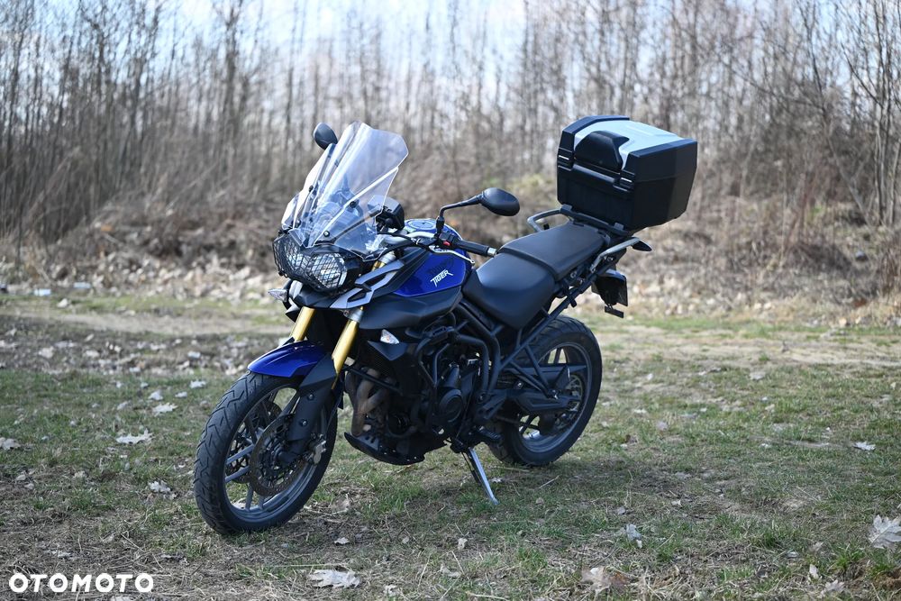 Triumph Tiger - 2