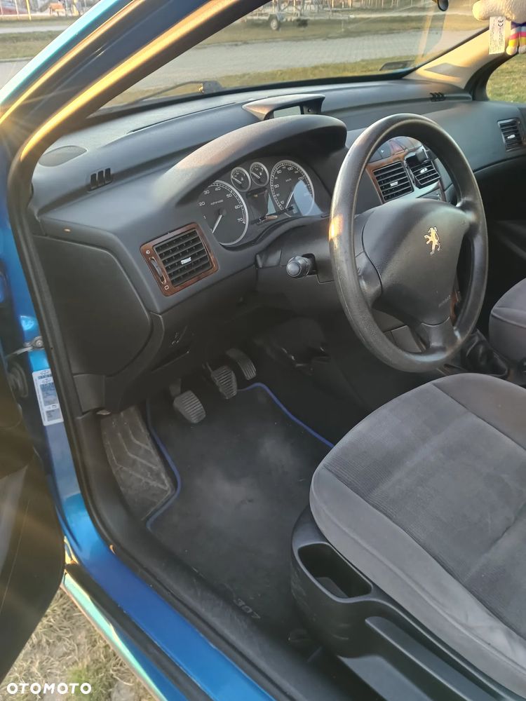 Peugeot 307 1.6 Premium - 10