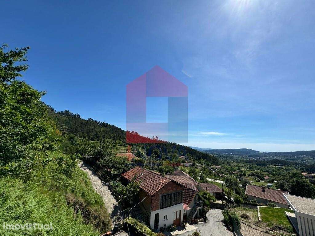 Terreno Florestal, Sande - Grande imagem: 5/8