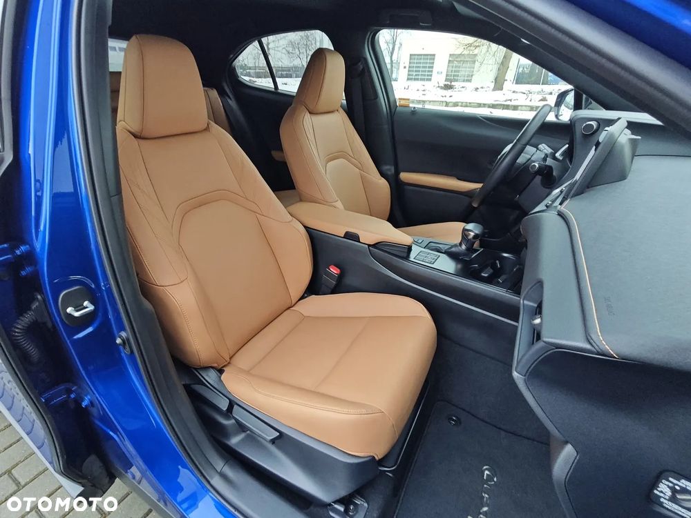 Lexus UX 250h GPF F Sport Design+ 2WD - 12