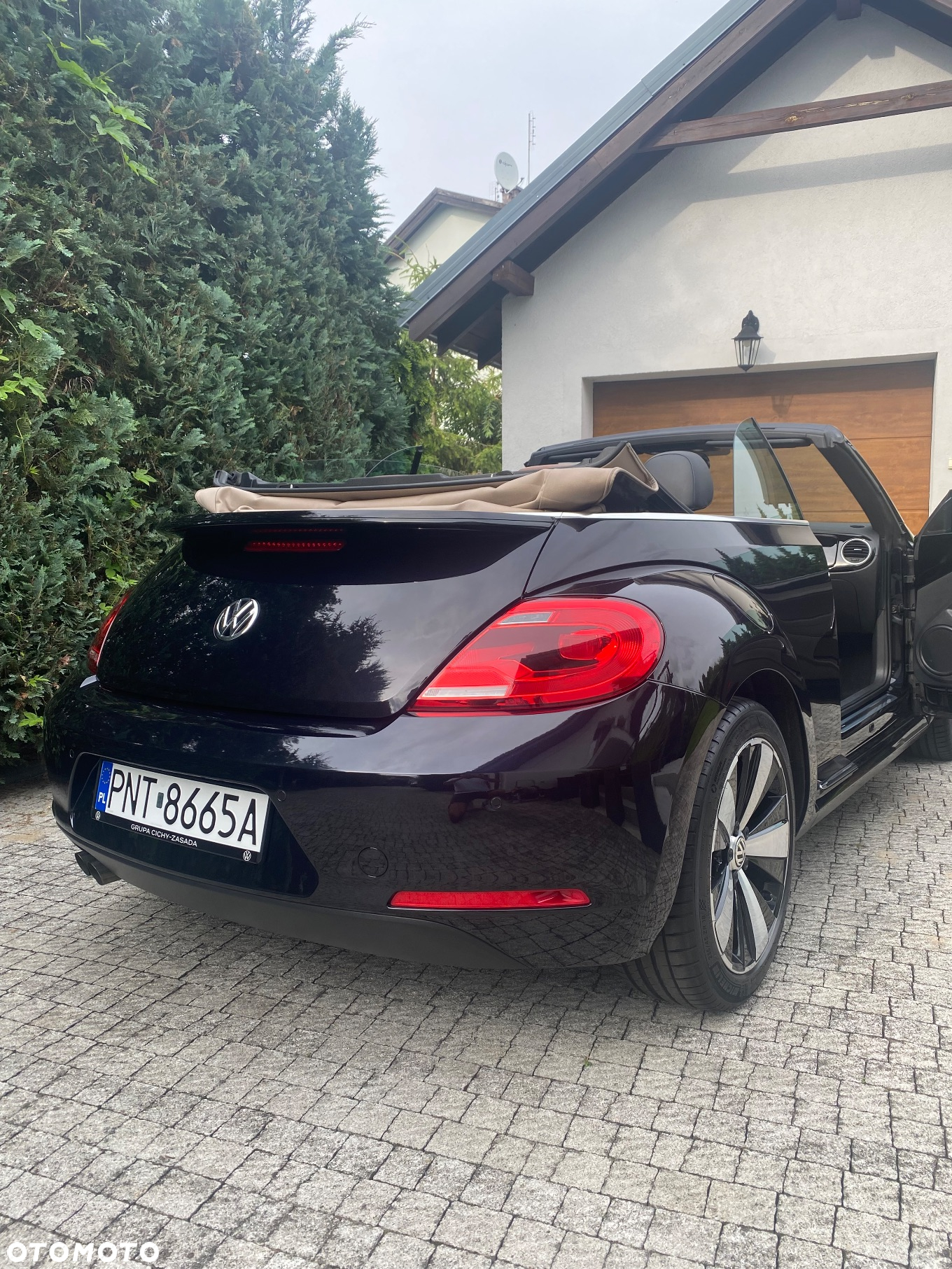 Volkswagen Beetle - 13
