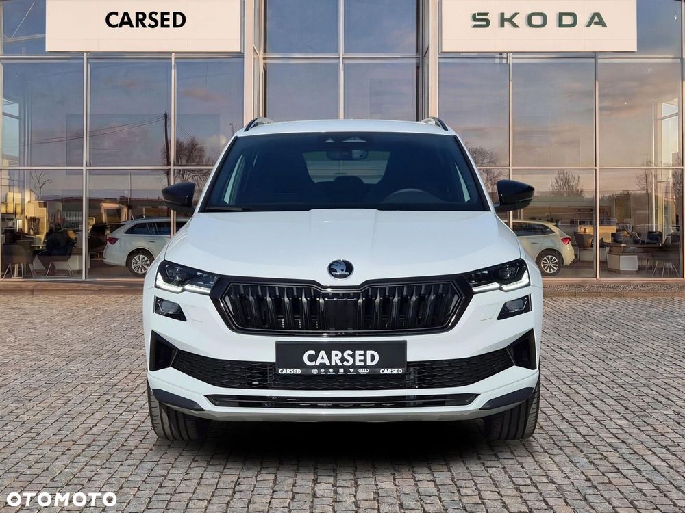 Skoda Karoq - 10