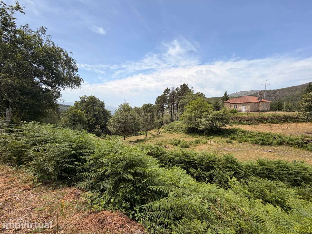 Moradia para restauro e terreno com 2 261m2 em Adrão, Arcos de Valdeve - Grande imagem: 5/9