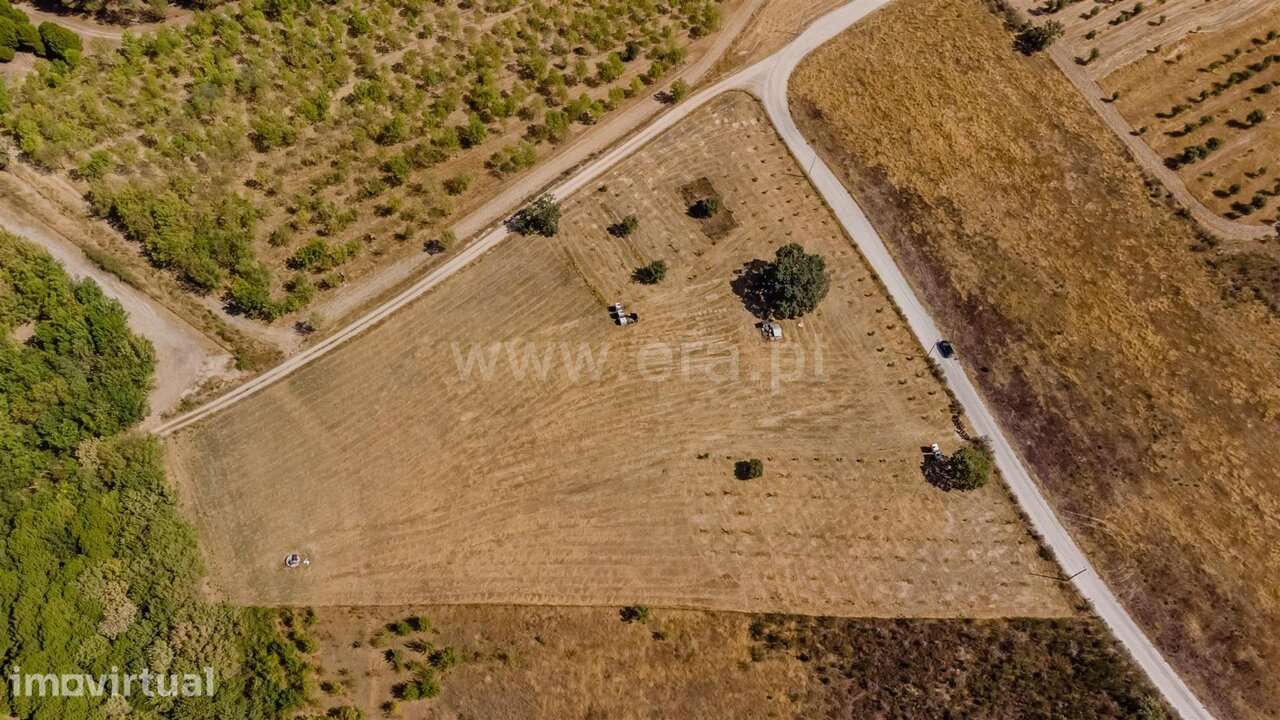 Terreno / Fundão, Orca