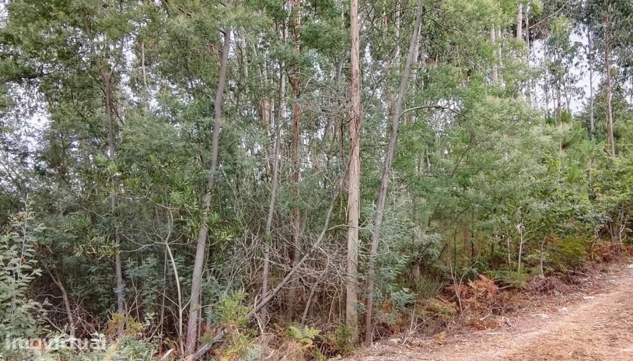 Terreno para venda, Candemil, Vila Nova de Cerveira - Grande imagem: 2/7