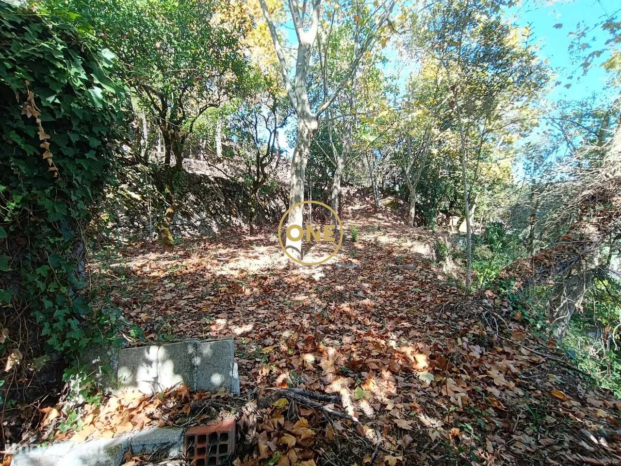 Terreno c/ projeto aprovado em Valdozende - Terras de Bouro - Grande imagem: 3/26