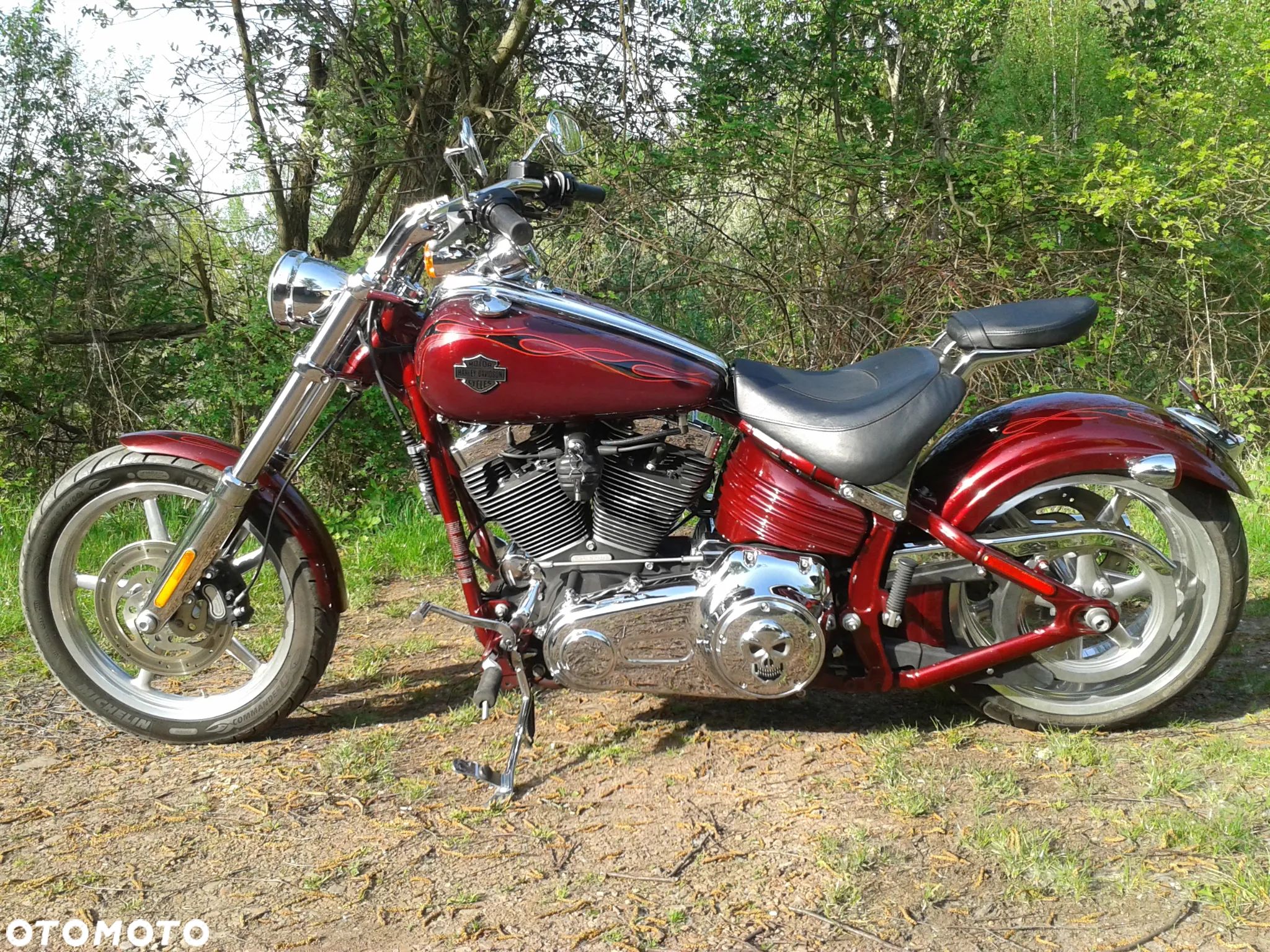 Harley-Davidson Softail - 1