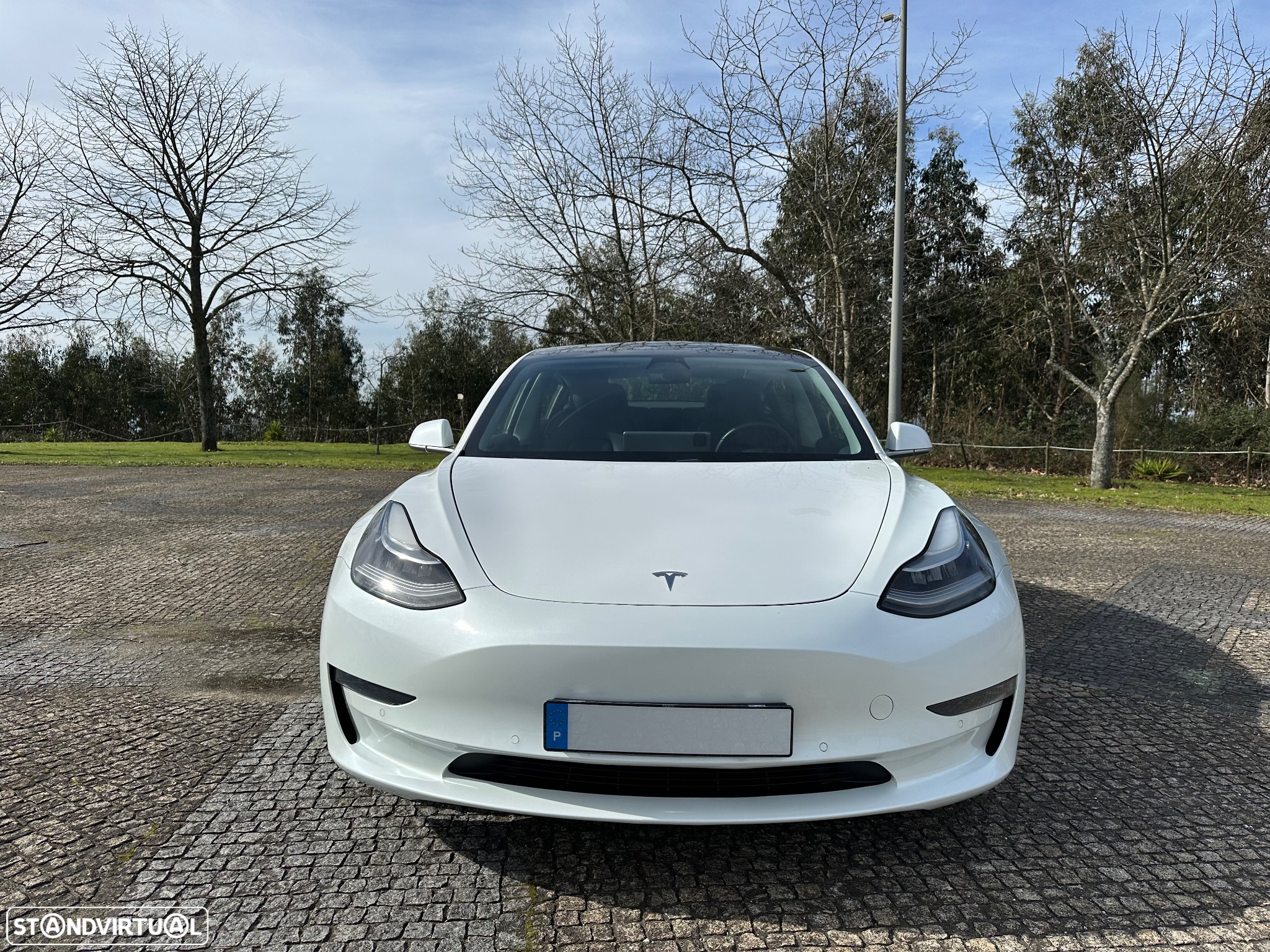 Tesla Model 3 Long-Range Dual Motor AWD - 2
