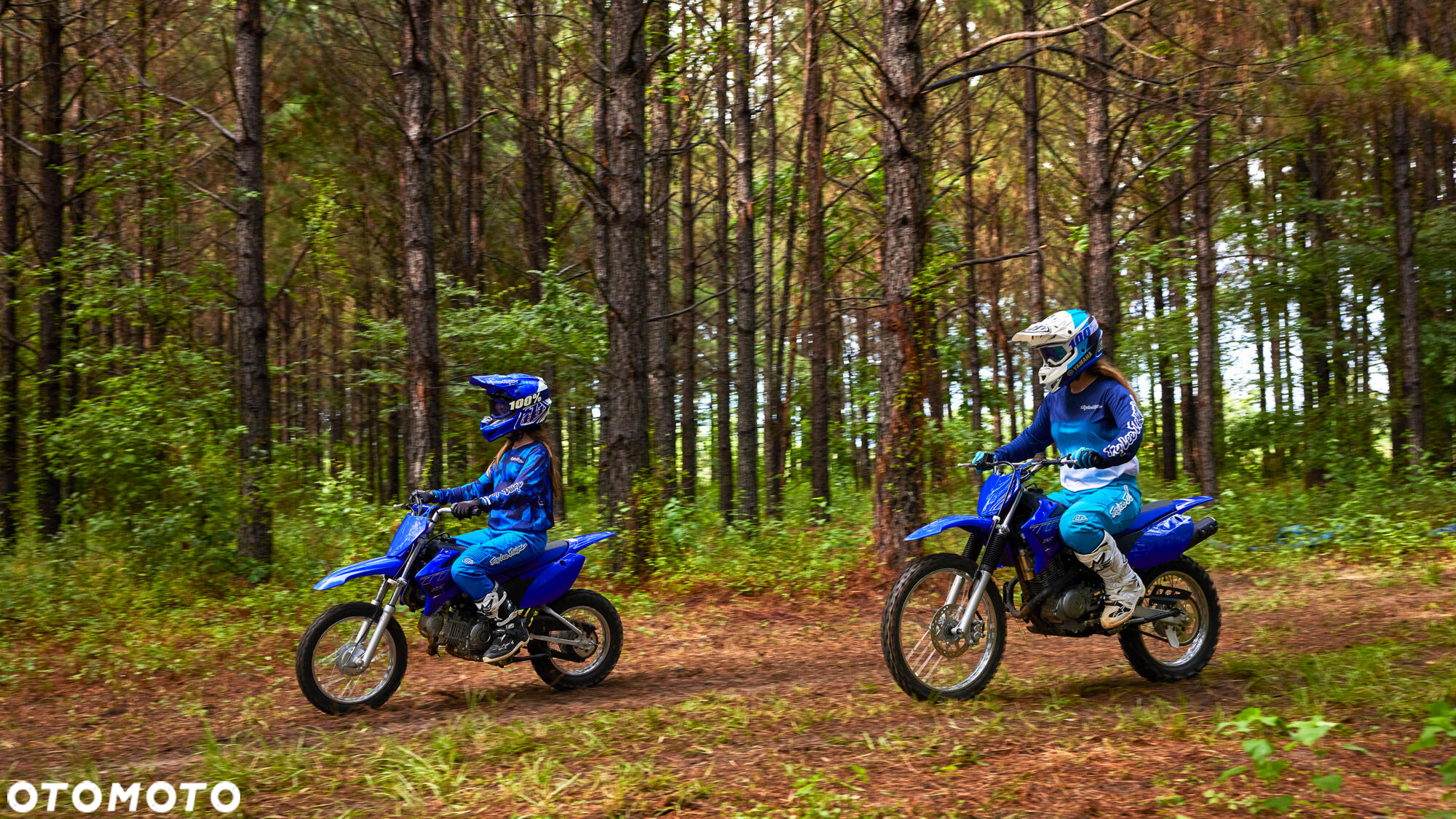 Yamaha TTR - 8