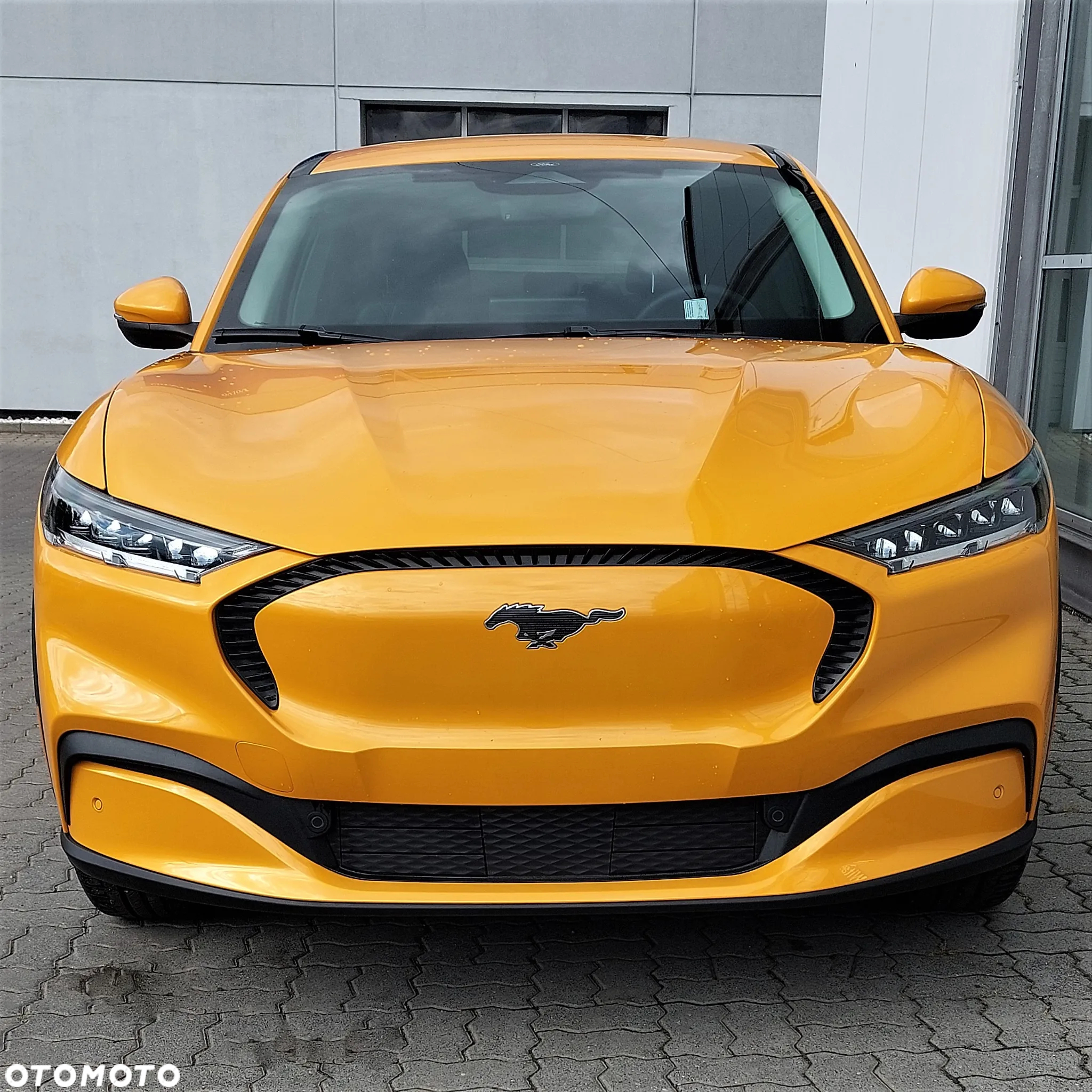 Ford Mustang Mach-E 75kWh RWD - 5