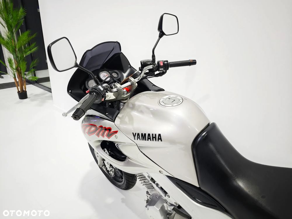 Yamaha TDM - 19
