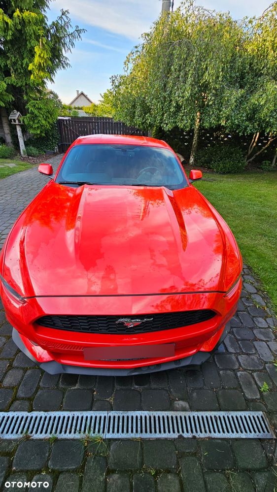 Ford Mustang 3.7 V6 - 8