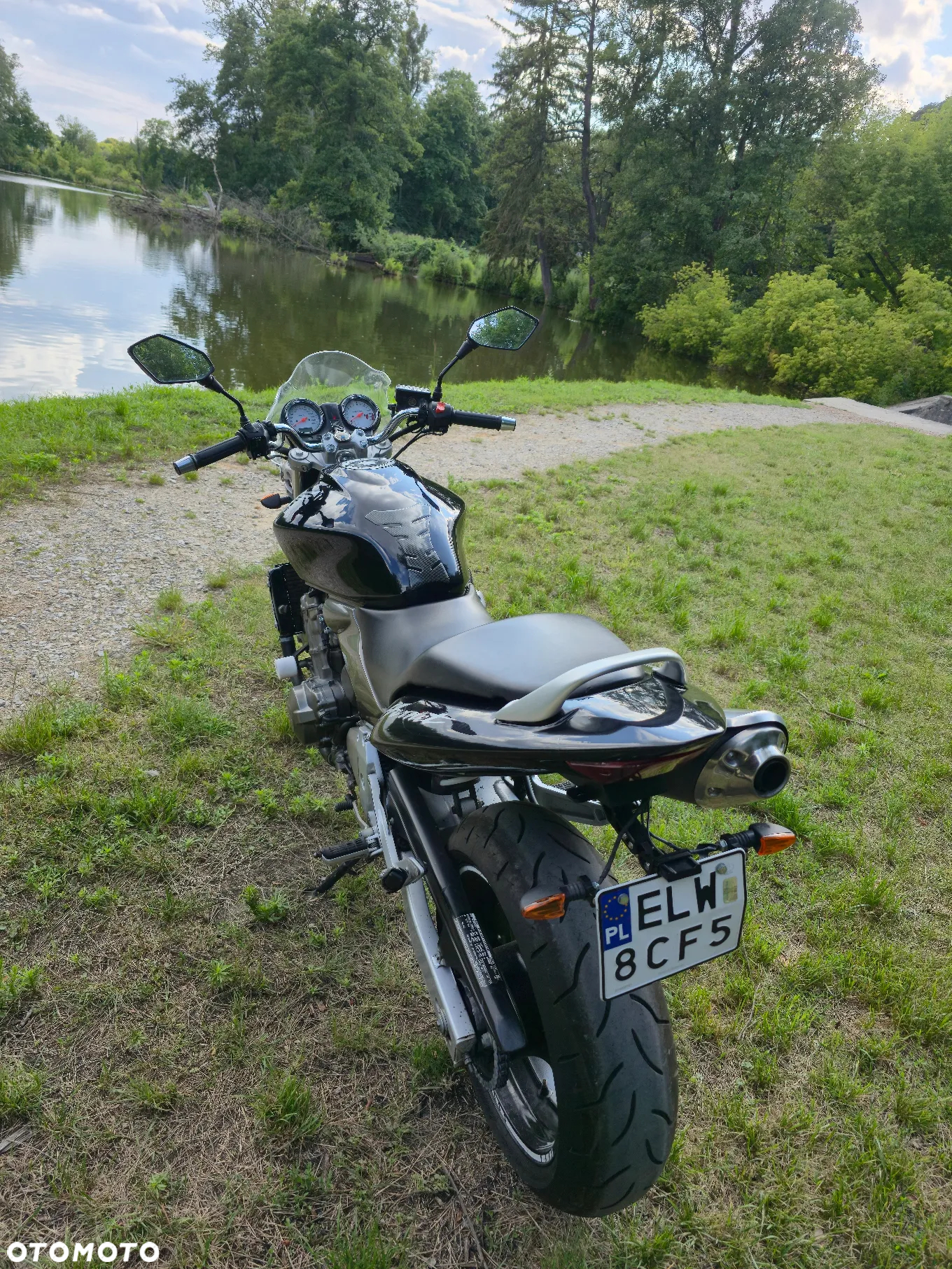 Honda Hornet - 4