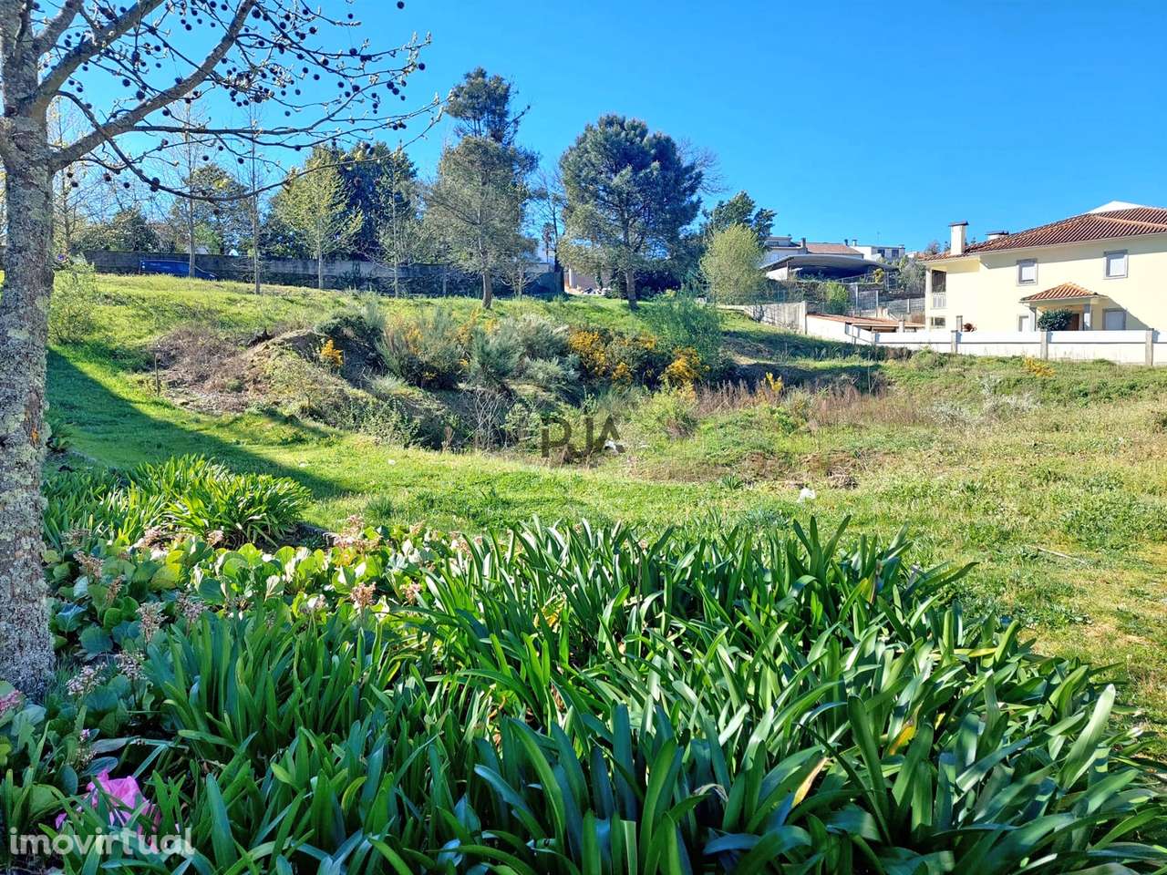 Lotes para Construção - Grande imagem: 2/9