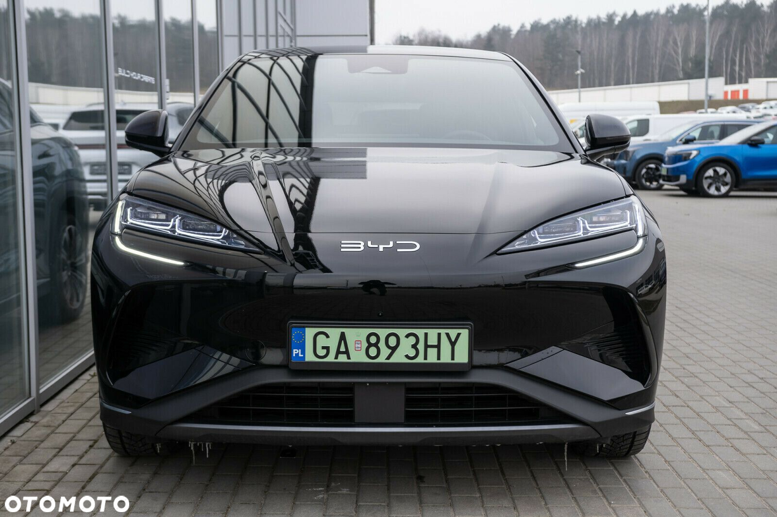 BYD Sealion 7 - 2