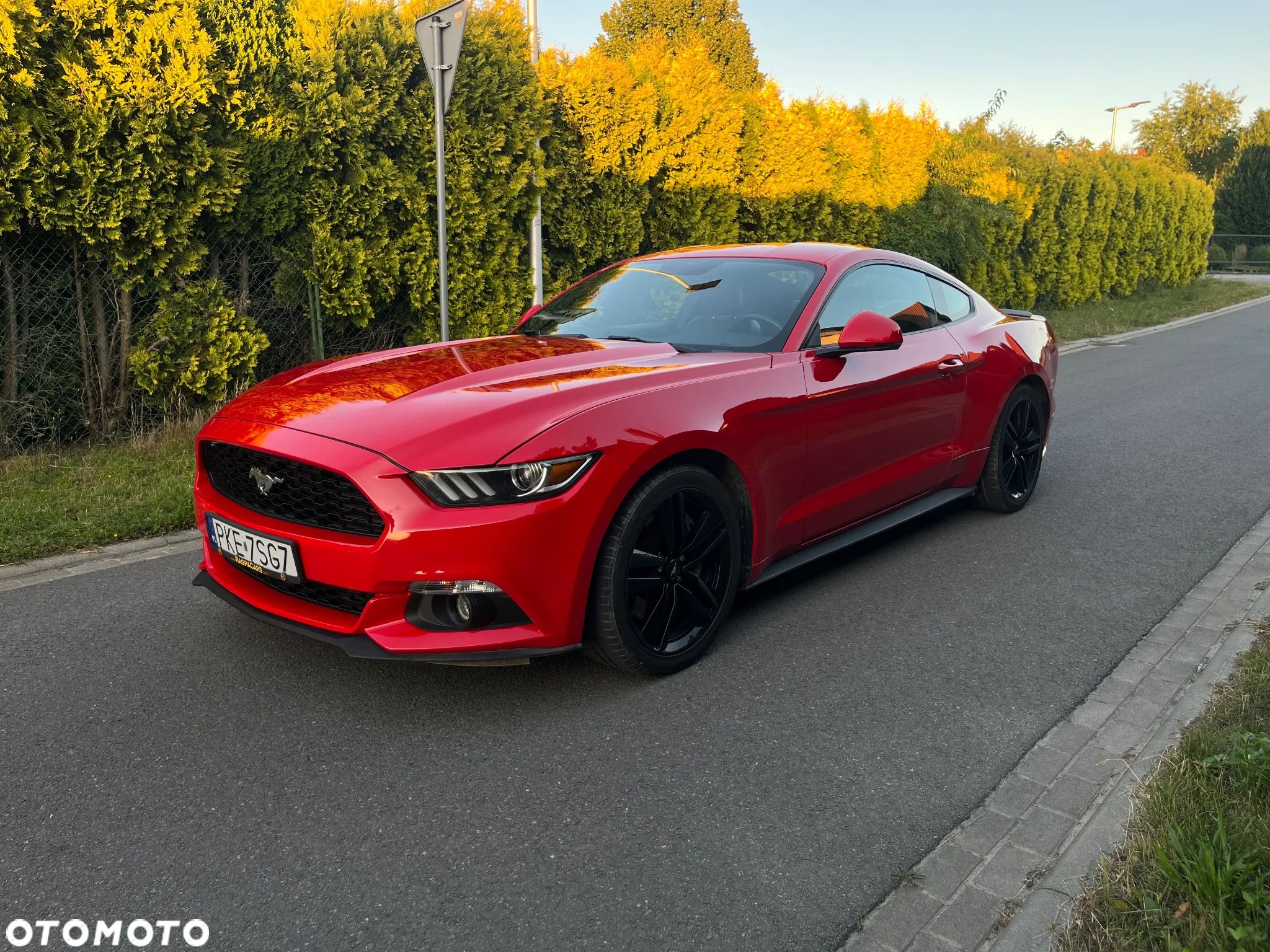 Ford Mustang 2.3 EcoBoost - 1