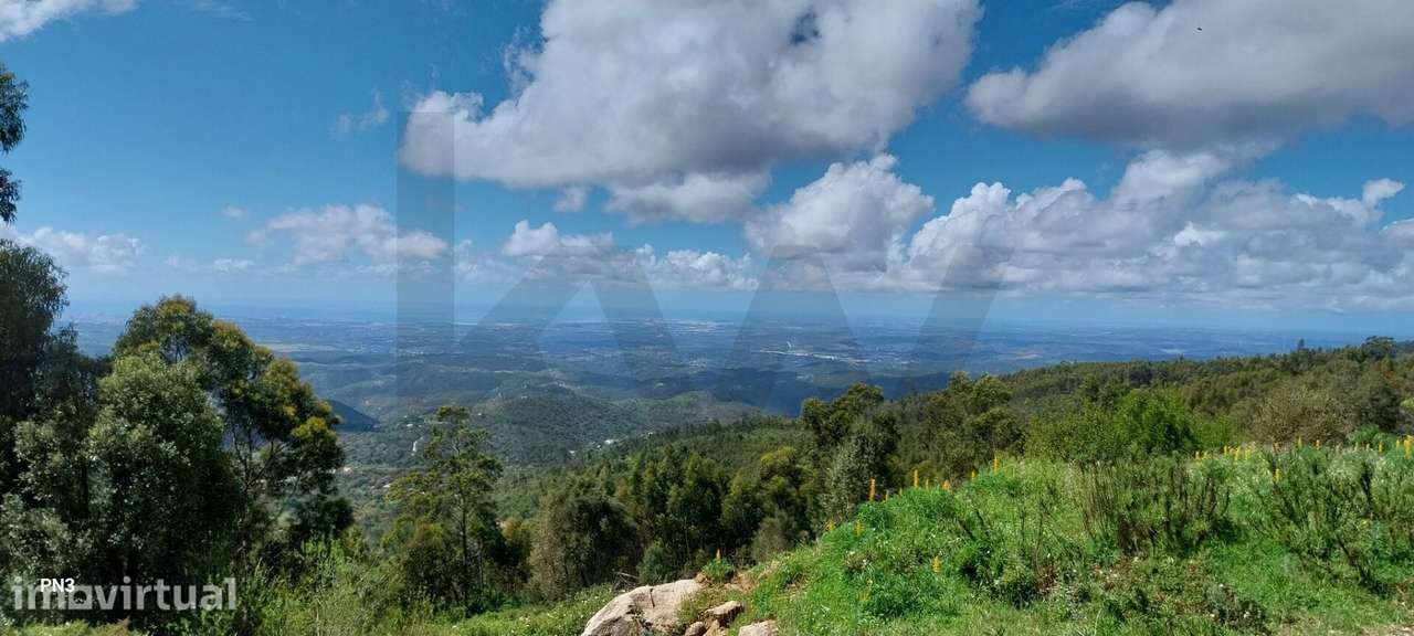Terreno na Serra de Monchique 8.780 m2 - Grande imagem: 2/27