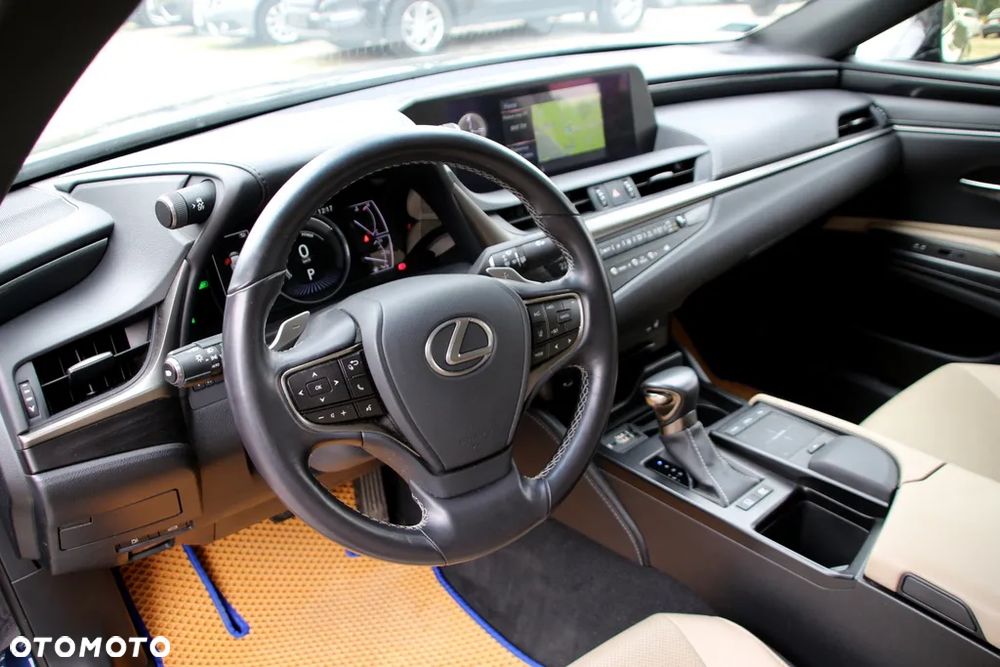 Lexus ES 300h Elegance - 10