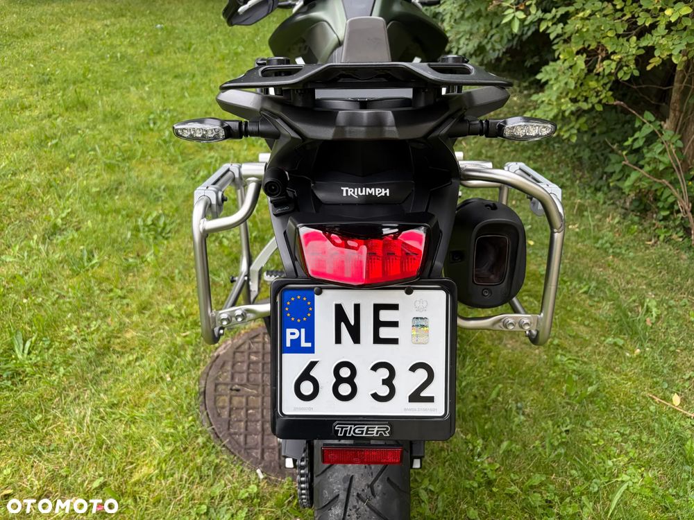 Triumph Tiger - 10