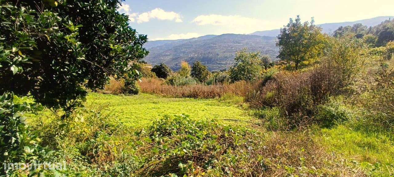 Terreno agrícola com muita água em S. Pedro, de Santa Marinha do Zêzer - Grande imagem: 3/32