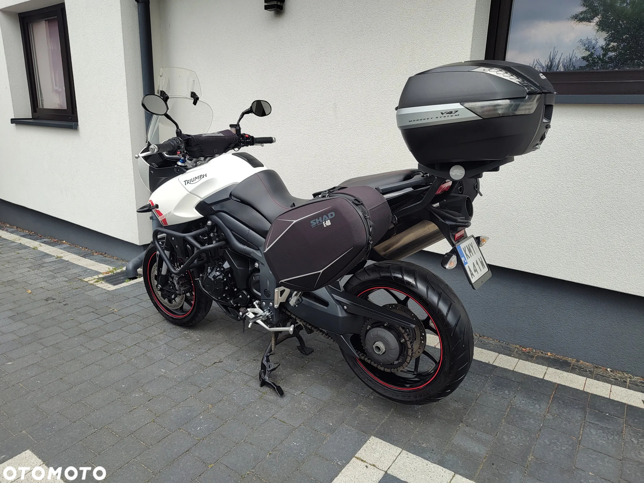 Triumph Tiger - 7