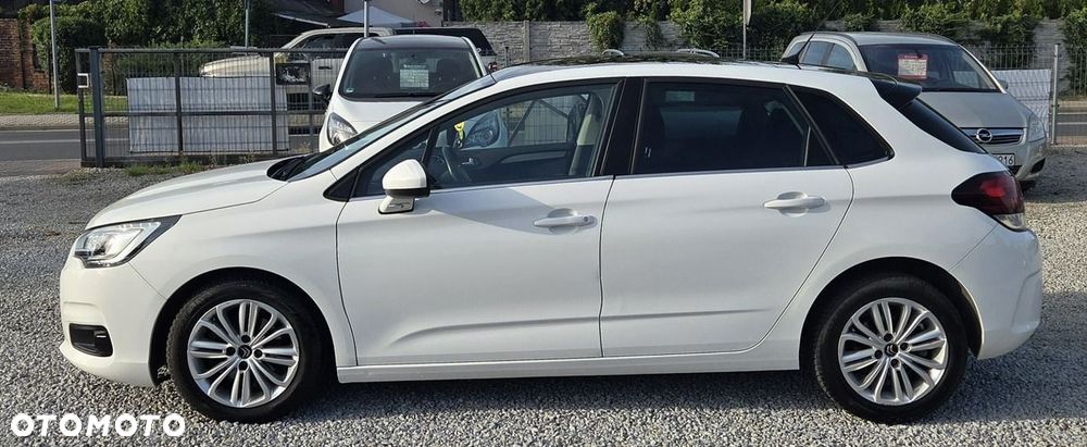 Citroën C4 BlueHDi 120 Stop&Start EAT6 Shine - 5