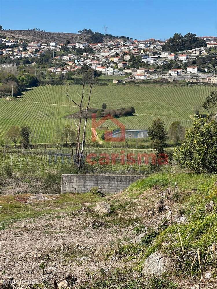 Lote de Terreno para construção com 738m2 em S. Martinho do Campo, San - Grande imagem: 2/13