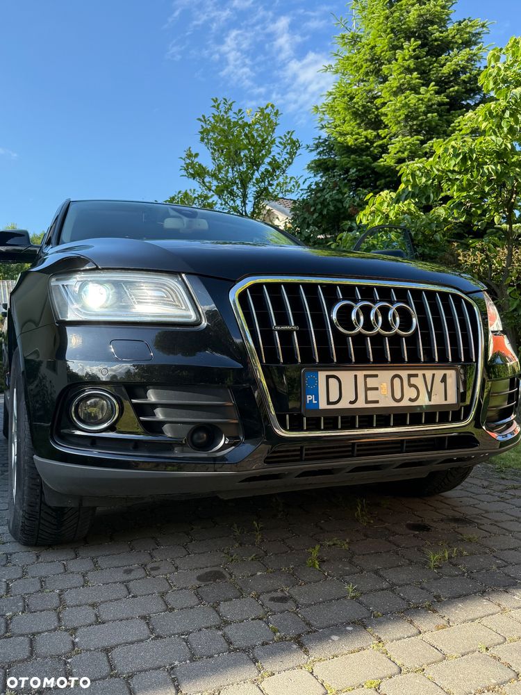 Audi Q5 - 19