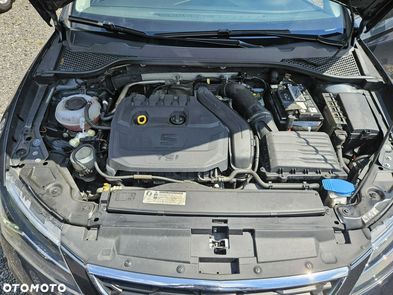 Seat Leon - 26